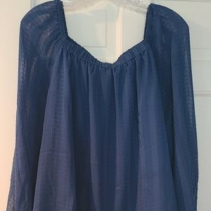 Muted blue Ann Taylor Large top